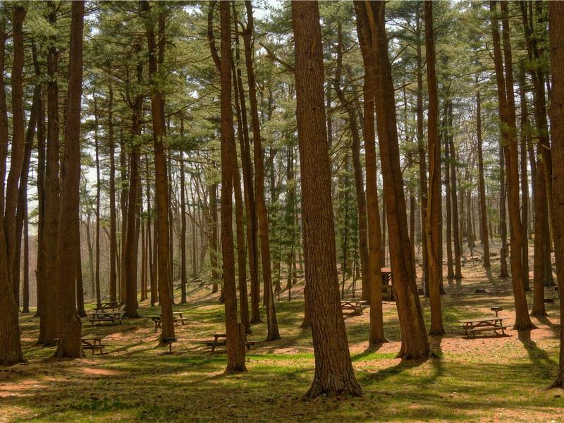 sudoku stress relief screenshot 6